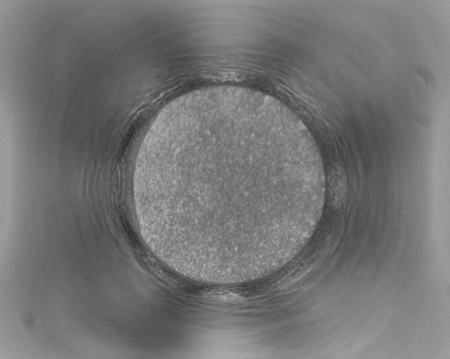 X0000114120747200911161138