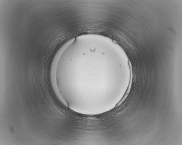 X0000114120748200911161138