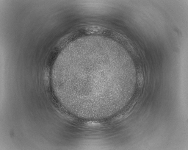 X0000114120749200911161139