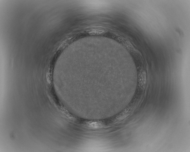 X0000114120755200911161139