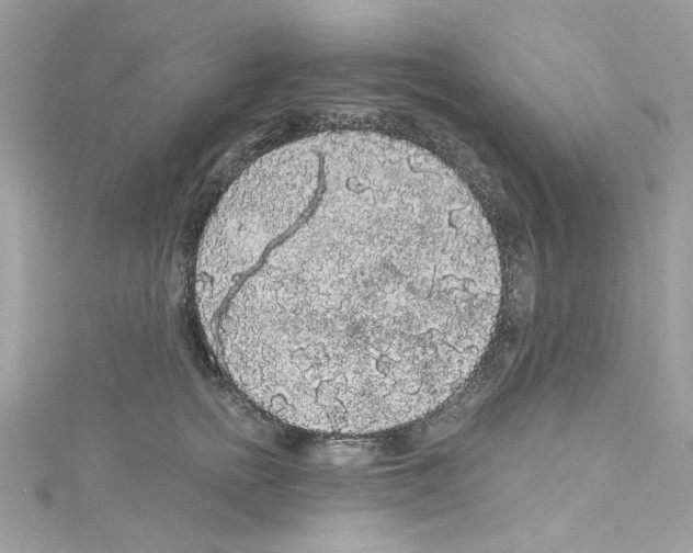 X0000114120758200911161139