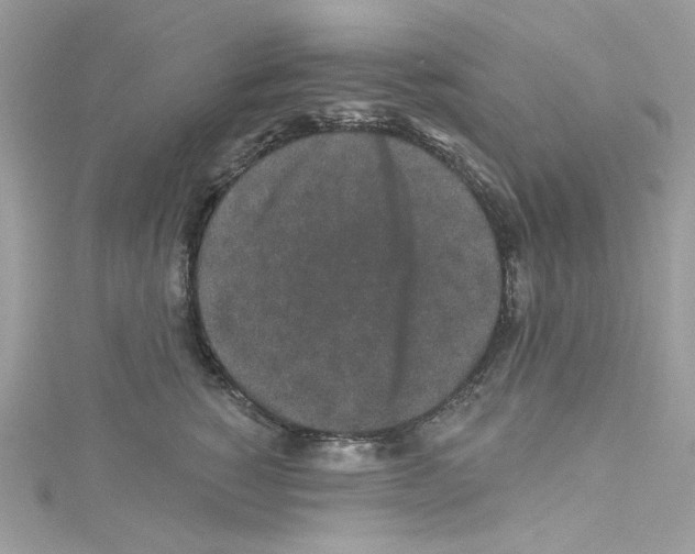 X0000114120760200911161139