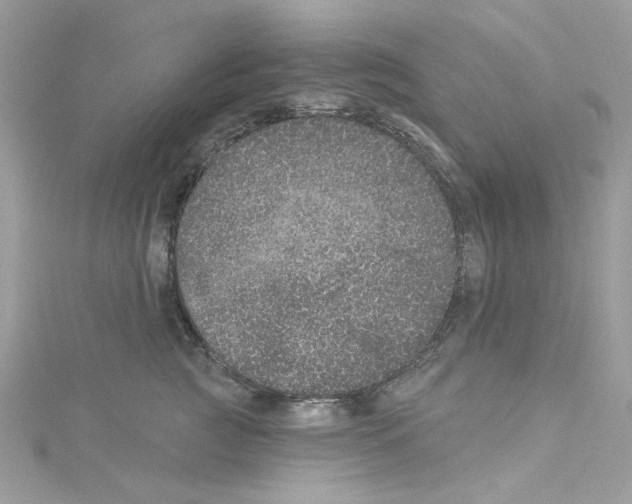 X0000114120761200911161139