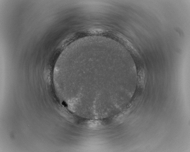 X0000114120762200911161139