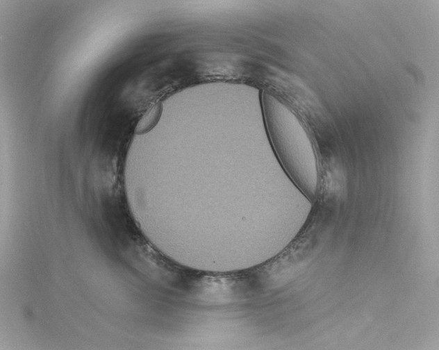 X0000114120764200911161139