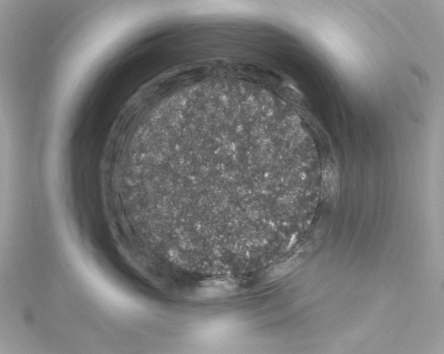 X0000114120765200911161139