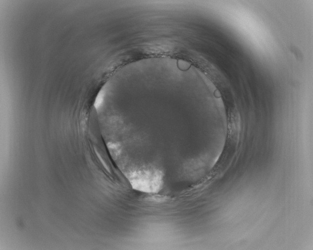 X0000114120767200911161139