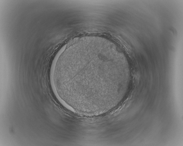 X0000114120769200911161138