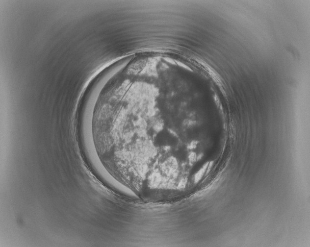 X0000114120779200911161138