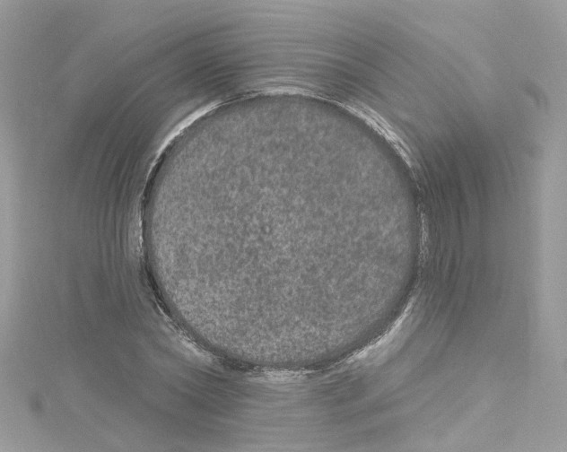 X0000114120782200911161138