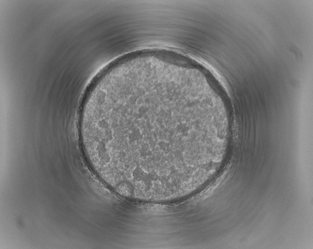 X0000114120783200911161138