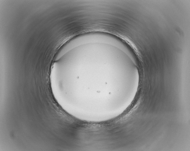 X0000114120785200911161138