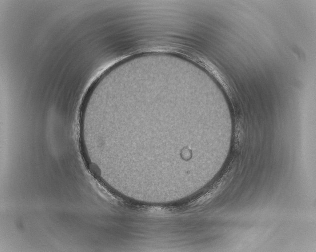 X0000114120787200911161138