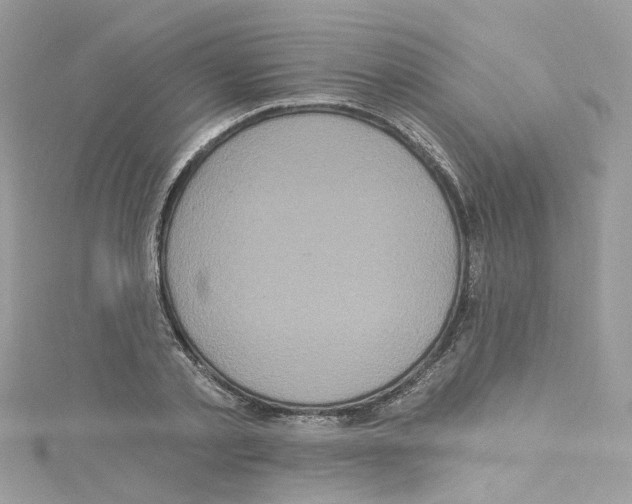 X0000114120789200911161138