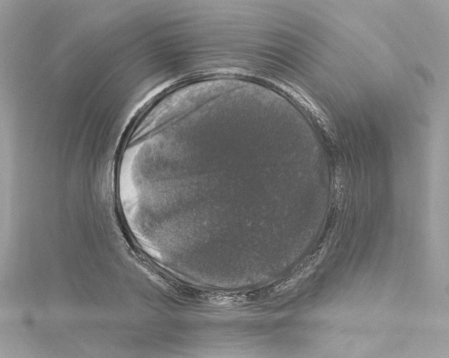 X0000114120790200911161138