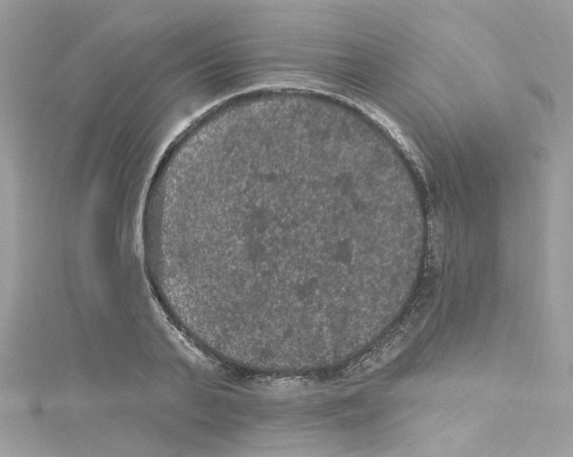 X0000114120791200911161138