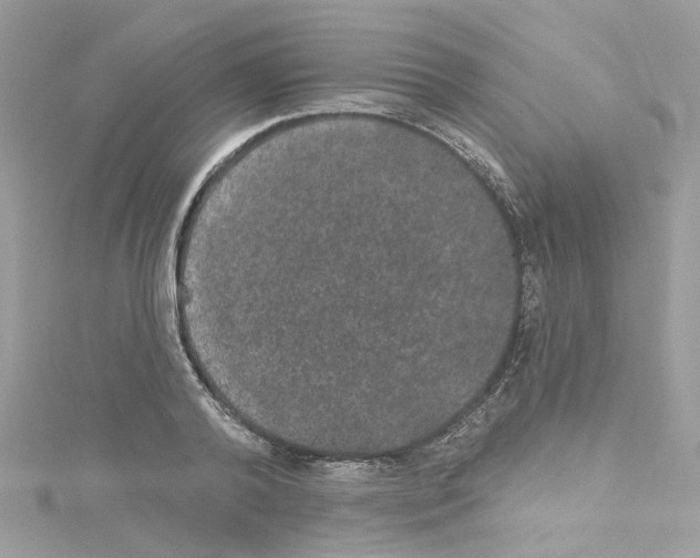 X0000114120792200911161138