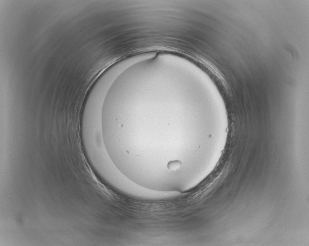 X0000114120793200911161138