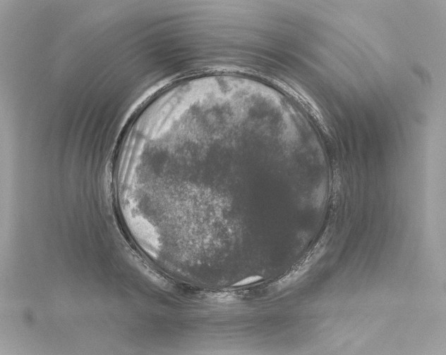 X0000114120798200911161138