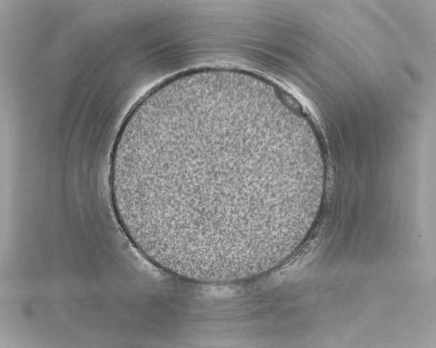 X0000114120799200911161138