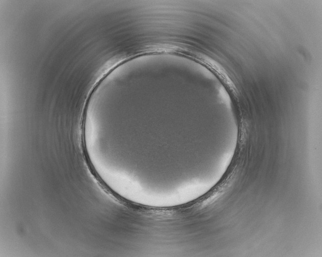 X0000114120802200911161138