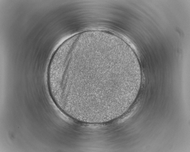 X0000114120803200911161138