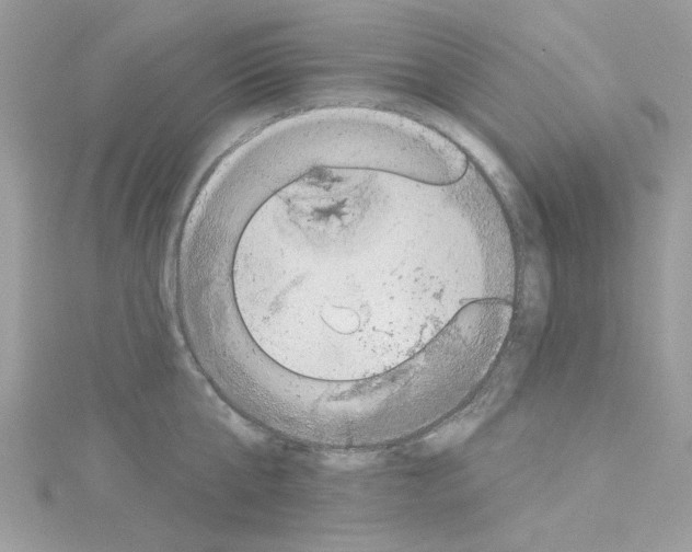 X0000114120807200911161138