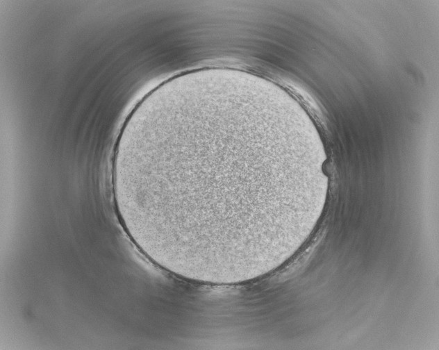 X0000114120808200911161138