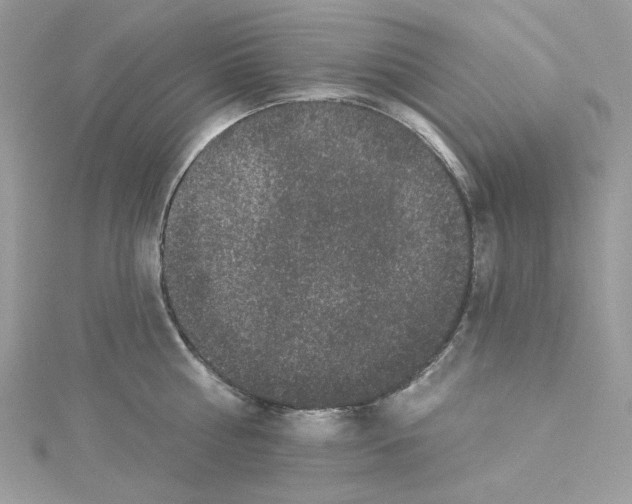 X0000114120810200911161138