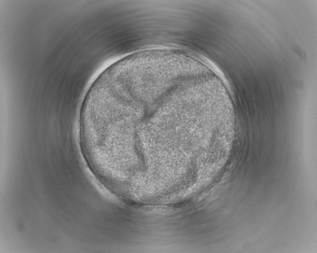 X0000114120811200911161138