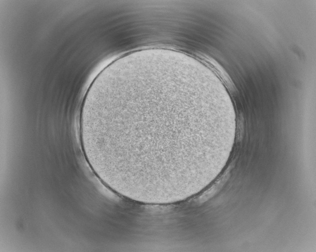 X0000114120812200911161138