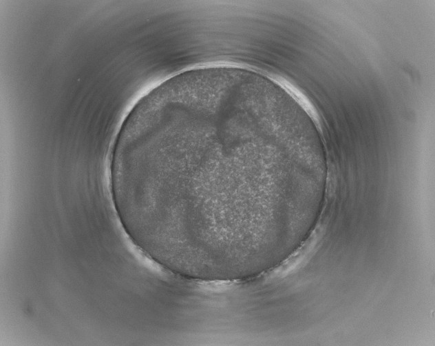 X0000114120813200911161138