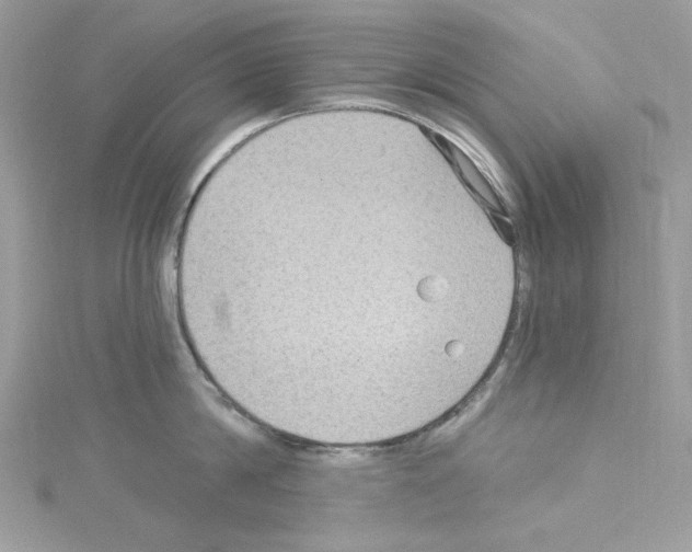 X0000114120814200911161138