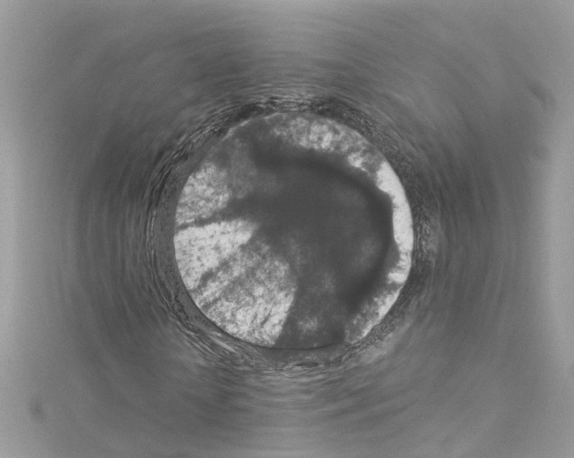 X0000114120818200911161137