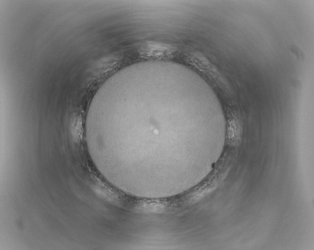 X0000114120820200911161137