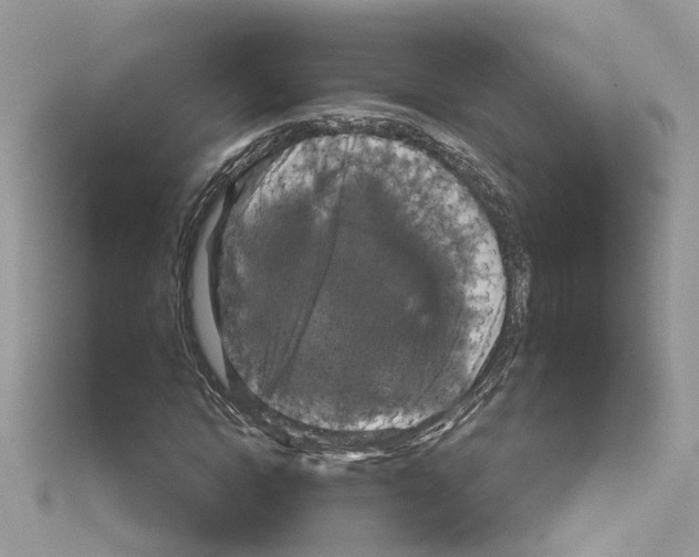 X0000114120822200911161137