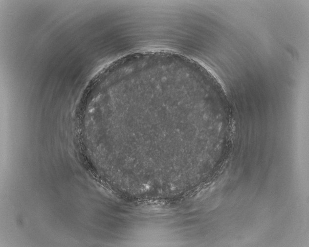 X0000114120823200911161137