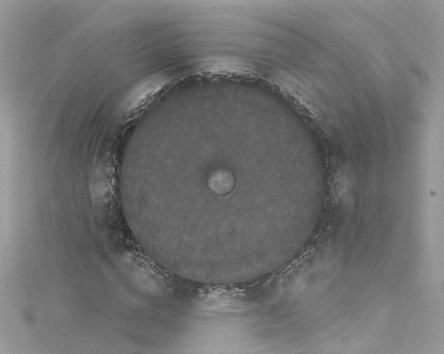 X0000114120824200911161137