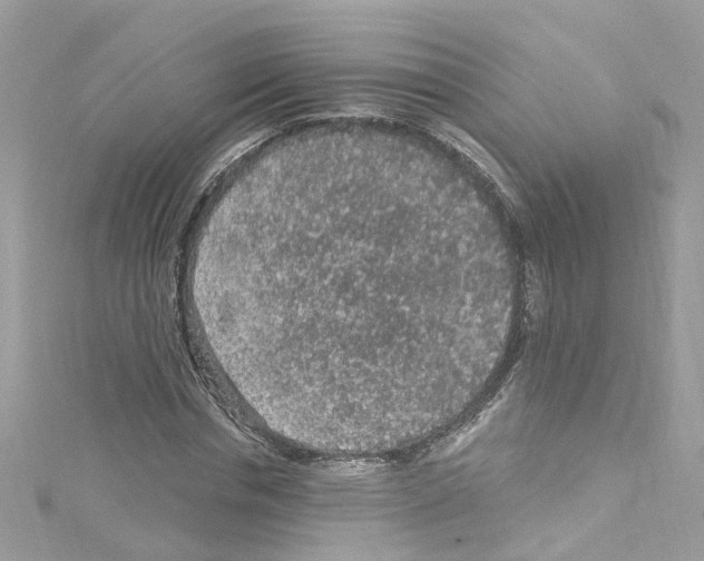 X0000114120826200911161137