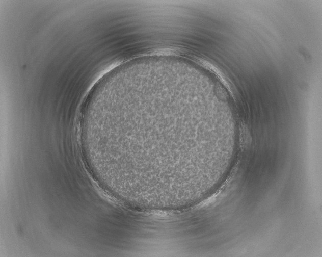 X0000114120827200911161137