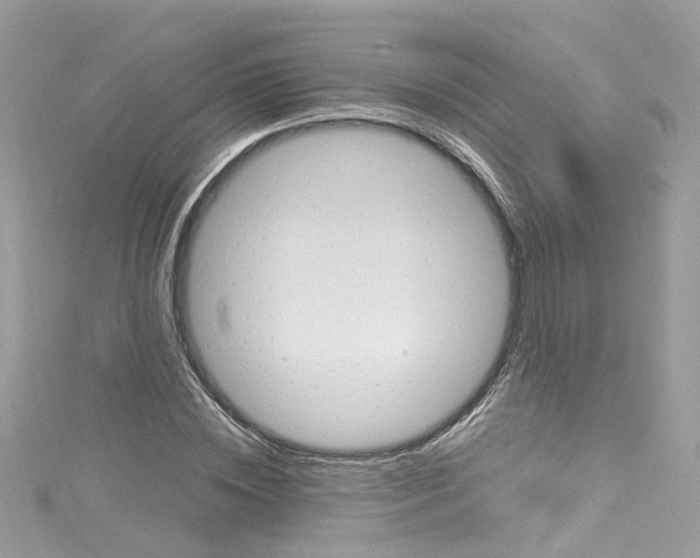 X0000114120828200911161137