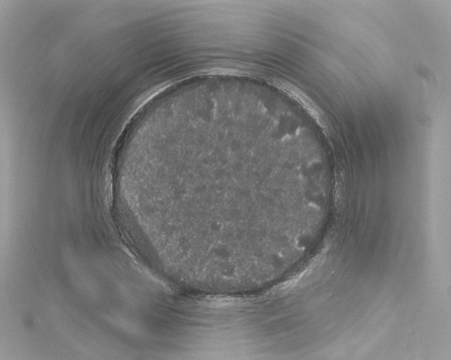 X0000114120829200911161137