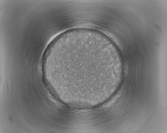 X0000114120830200911161137