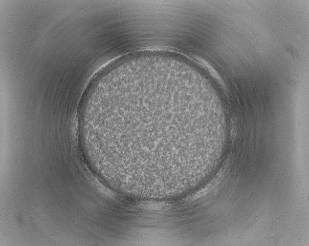 X0000114120831200911161137