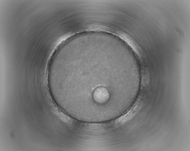 X0000114120832200911161137