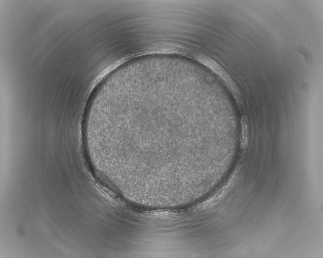 X0000114120834200911161137