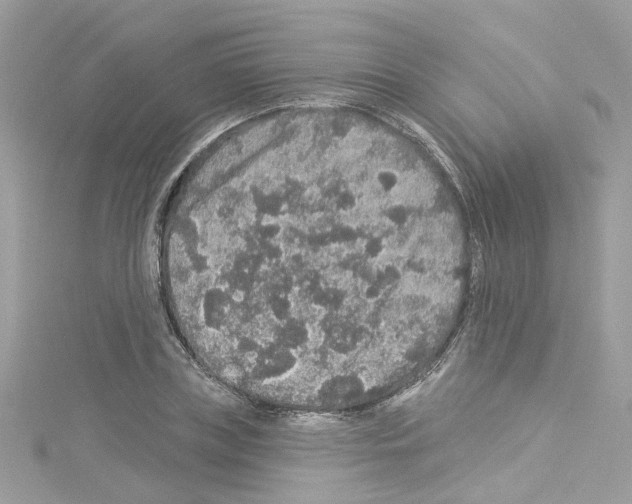 X0000114120835200911161137