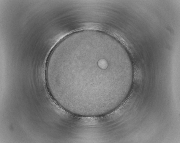 X0000114120836200911161137