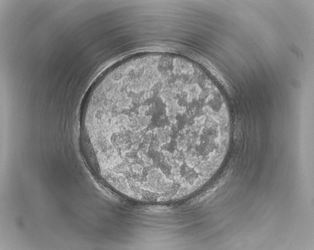 X0000114120837200911161137