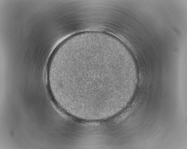 X0000114120838200911161137